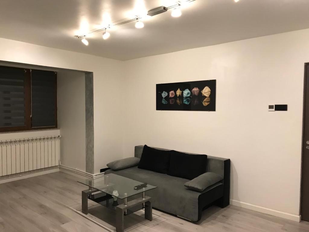 Elegant & Silver Luxury Apartament 克拉奥华 外观 照片